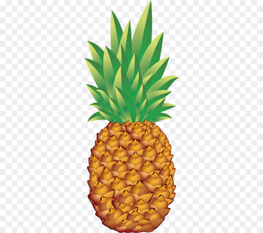 Ananas，Tropical PNG