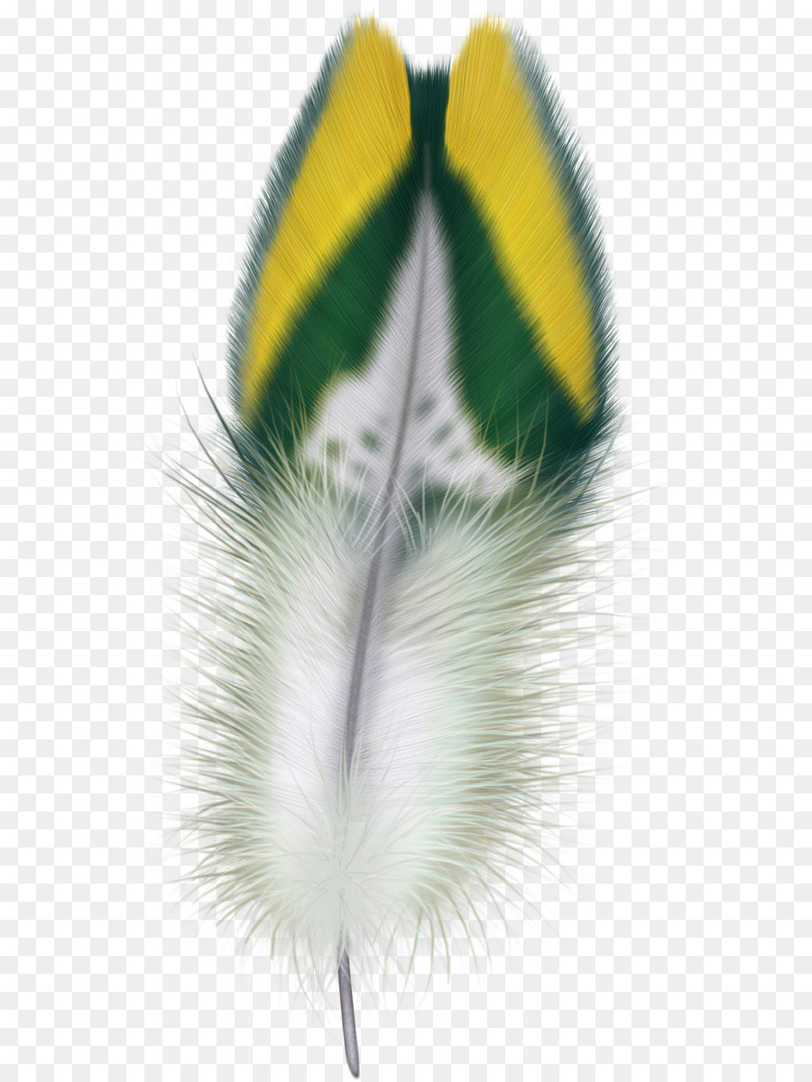 Plume，Oiseau PNG