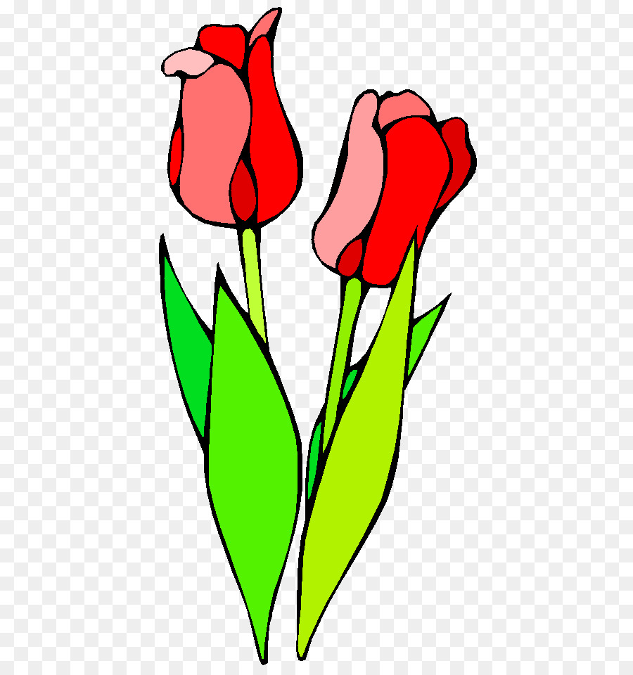 Tulipes Rouges，Floraison PNG