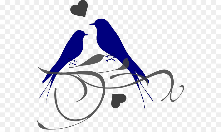 Oiseaux，Amour PNG