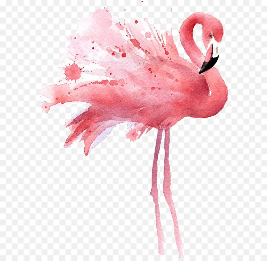 Peinture à L Aquarelle，Flamingo PNG