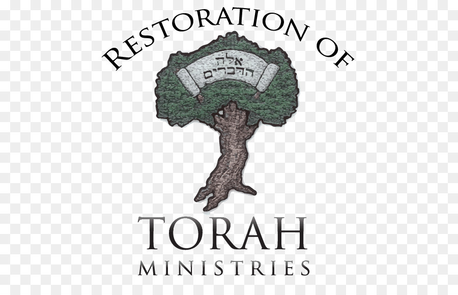 La Portion Hebdomadaire De La Torah，La Torah PNG