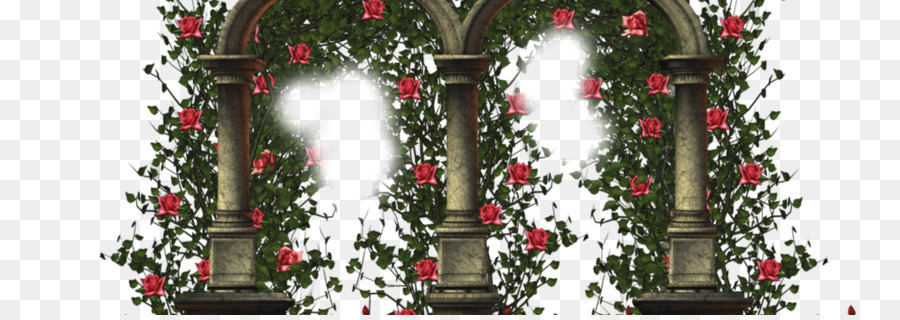 Arche De Rose，Jardin PNG