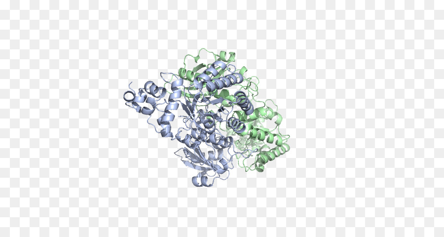 Structure Des Protéines，Molécule PNG