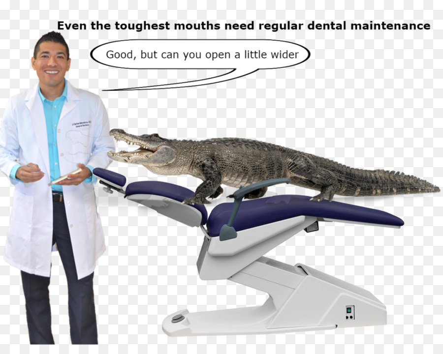 La Dentisterie，Dentiste PNG