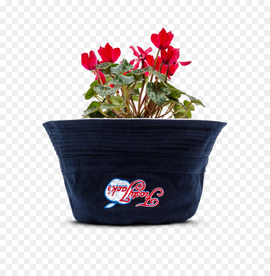 Fleur，Flowerpot PNG