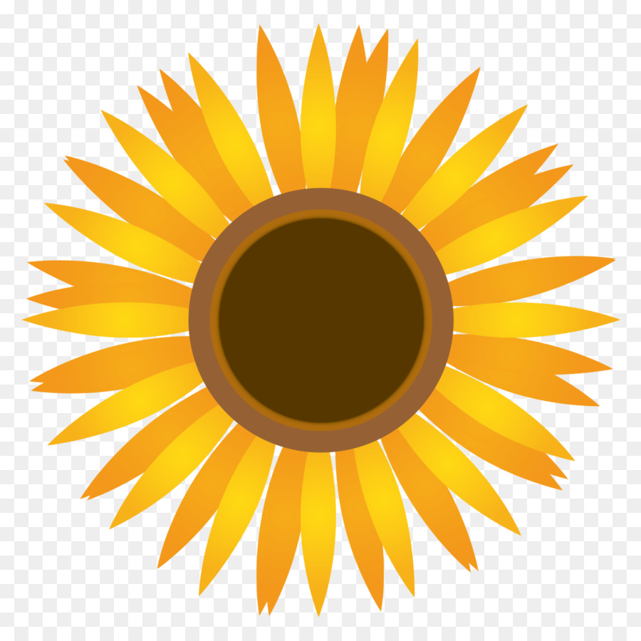 Tournesol，Jaune PNG