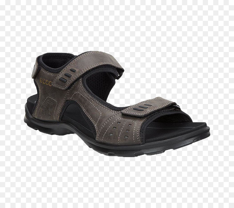 Sandale，Chaussure PNG