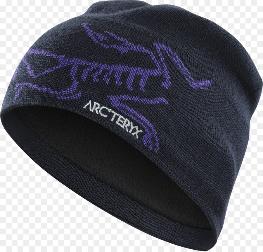 Tuque à Tête D Oiseau Arc Teryx，Arc Teryx PNG