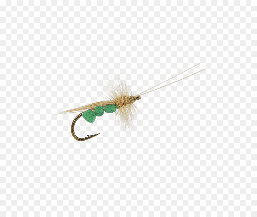 Insecte，Mouche Artificielle PNG