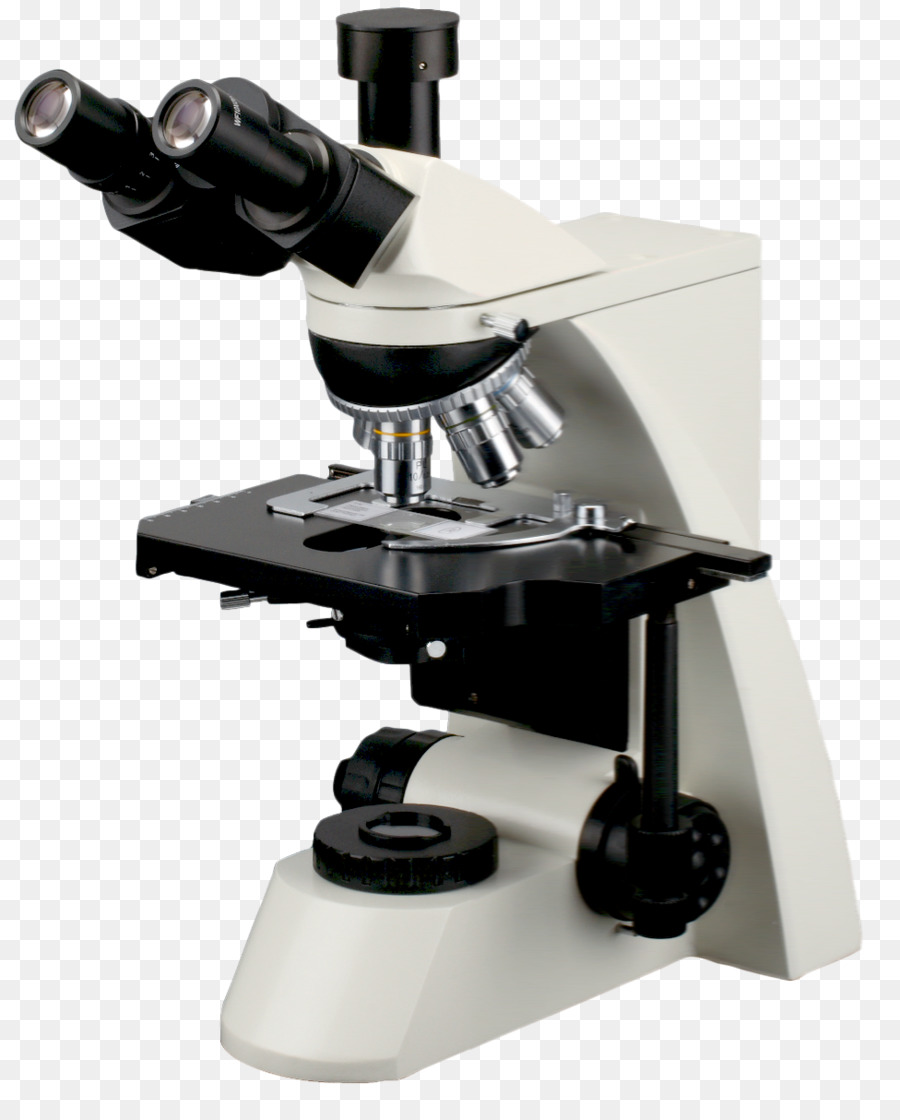 Microscope，Microscope Optique PNG