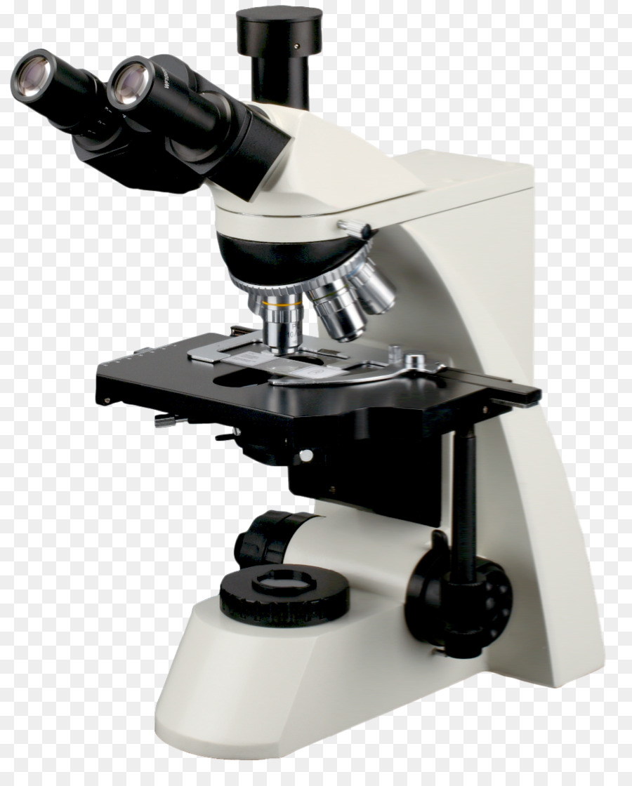 Microscope，Science PNG