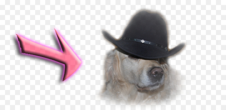 Chapeau，Museau PNG