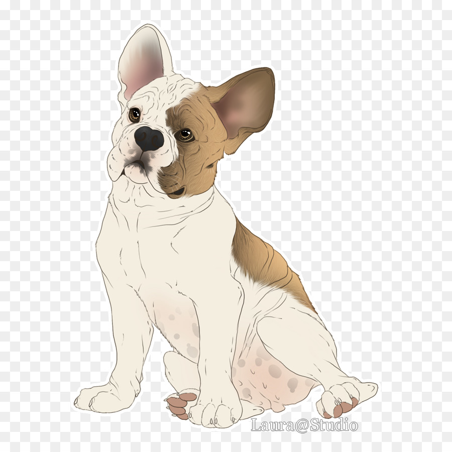 Terrier De Boston，Animal De Compagnie PNG