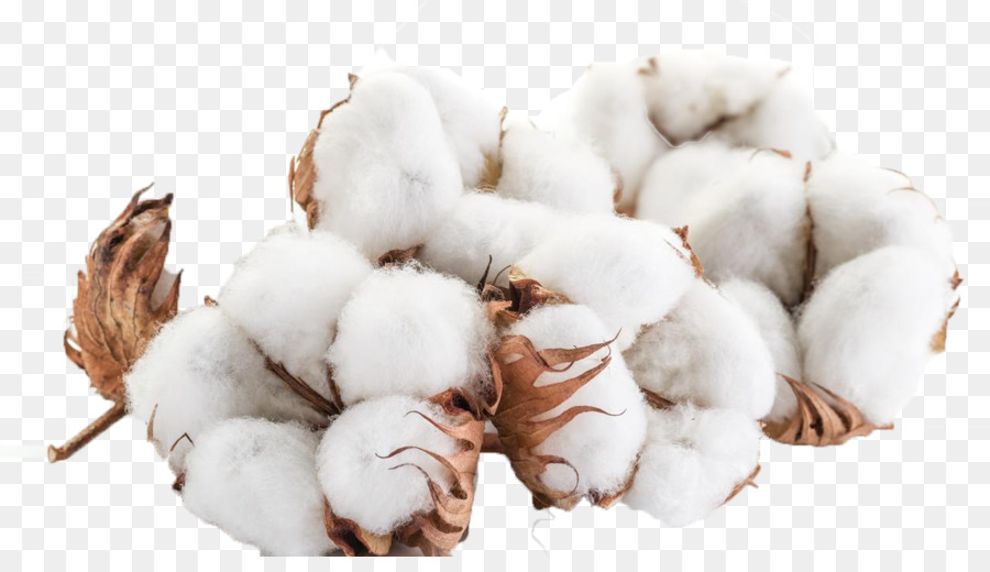 coton la fibre bougie de meche png coton la fibre bougie de meche transparentes png gratuit coton la fibre bougie de meche png