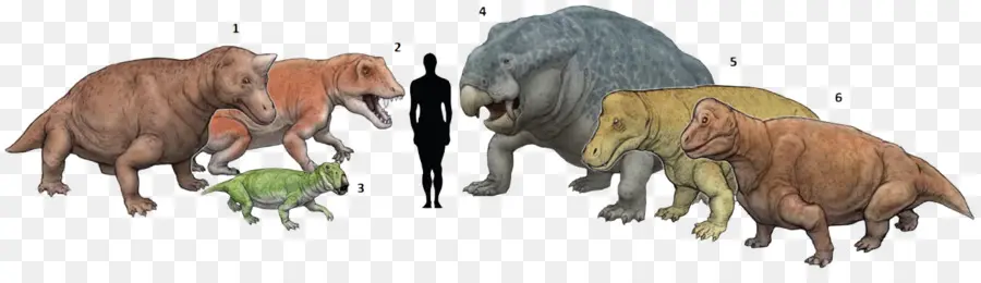 Comparaison De Dinosaures，Taille PNG