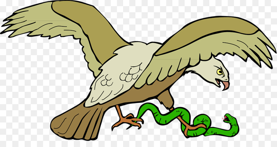 Aigle Et Serpent，Oiseau PNG