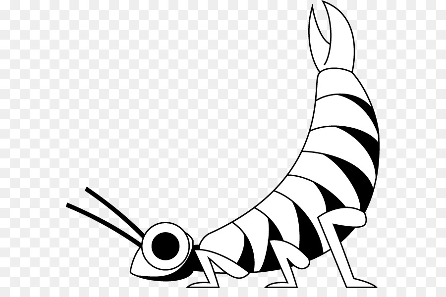 Insecte De Dessin Animé，Mignon PNG