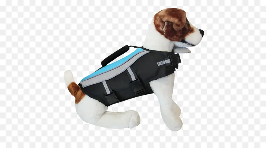 Chien，Gilets De Sauvetage PNG