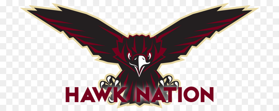 Skyhawk，Logo PNG