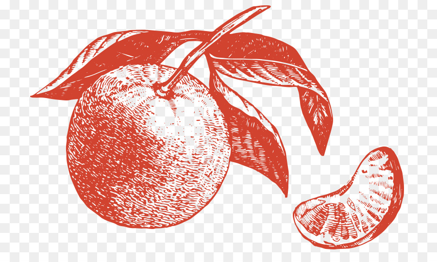 Pomme，Orange PNG