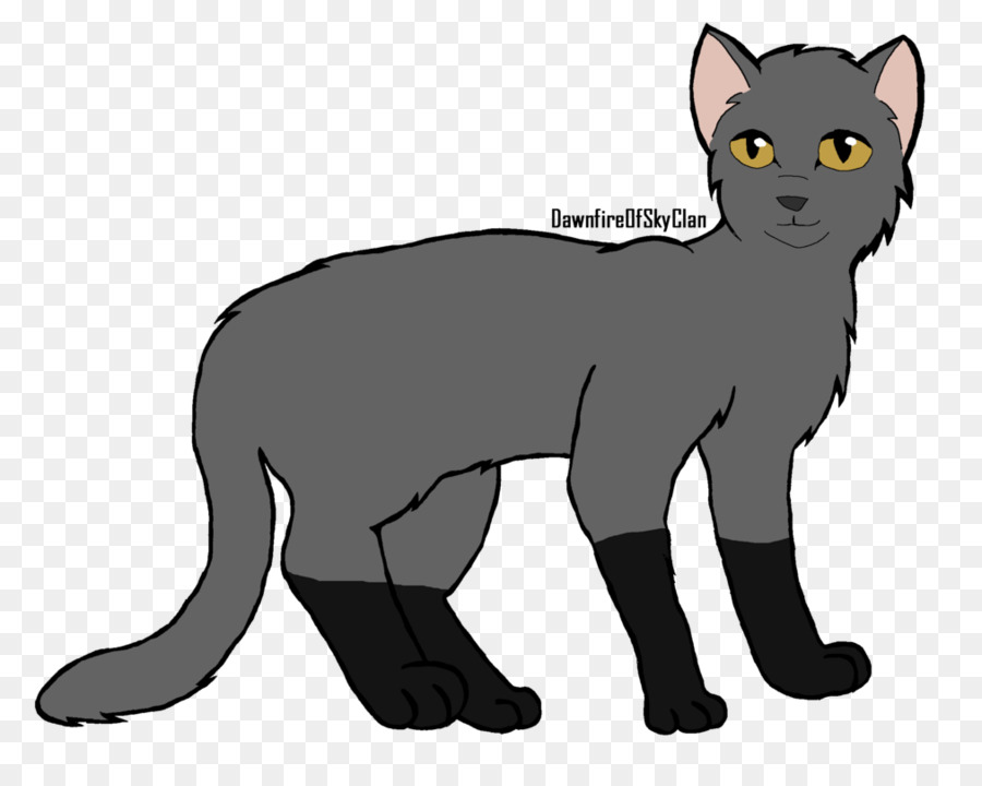 Chat Noir，Animal De Compagnie PNG