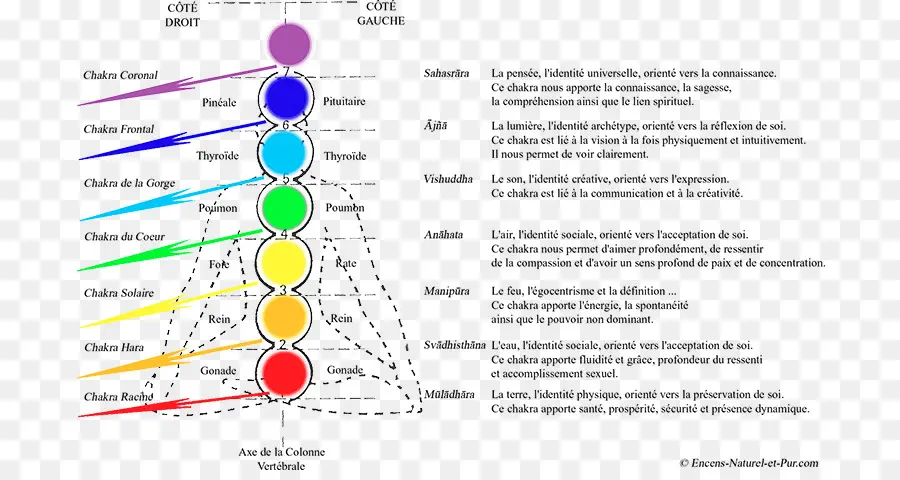 Diagramme Des Chakras，Énergie PNG