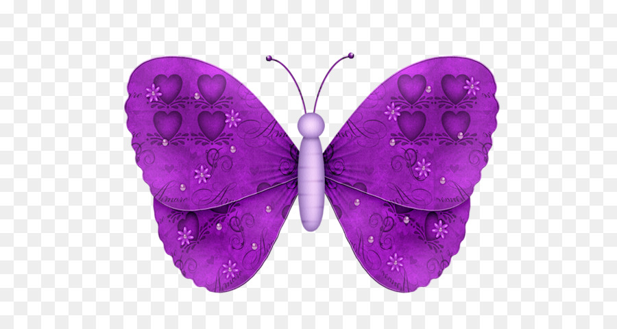 Papillon Violet，Ailes PNG