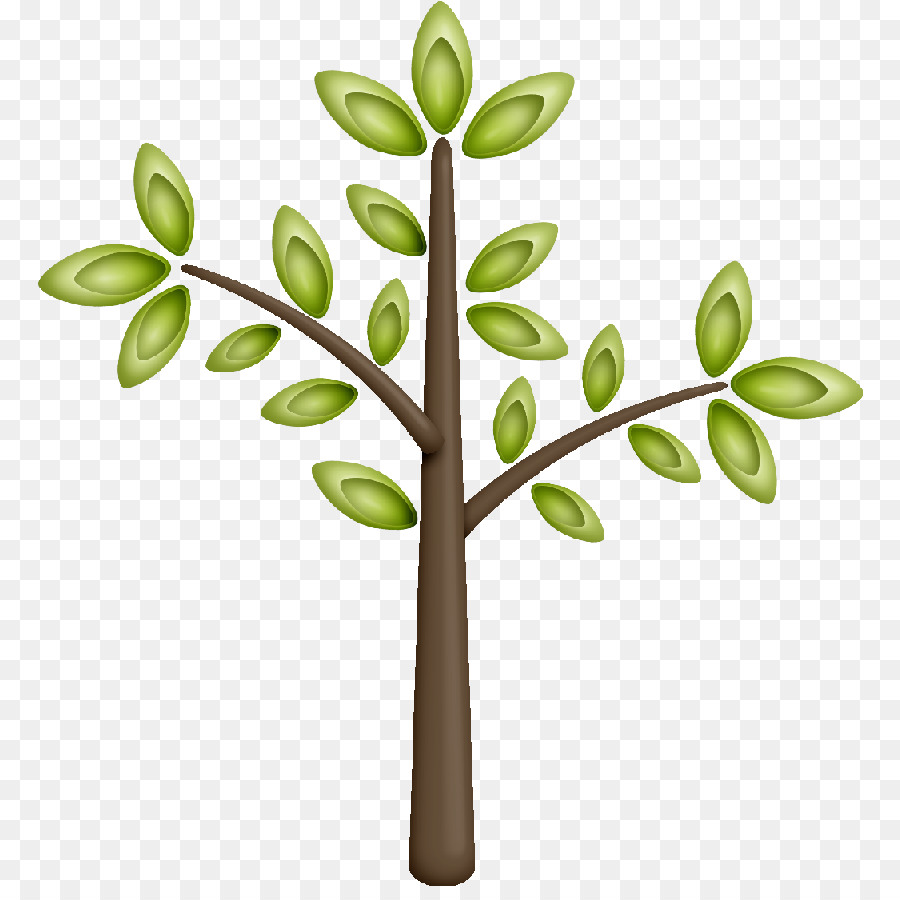 Arbre Vert，Feuilles PNG