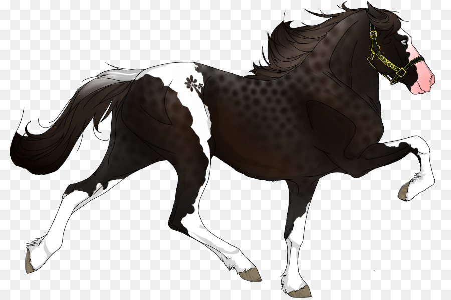 Cheval Qui Court，Animal PNG