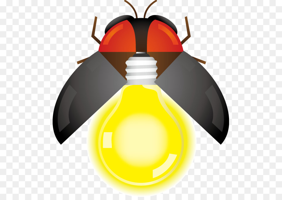 Firefly，Les Insectes PNG