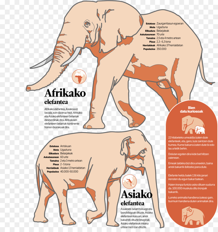 éléphant Indien，L éléphant D Afrique PNG