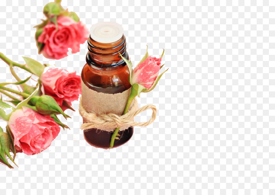 Rose，Toner PNG