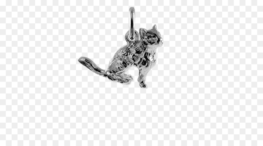 Chat，Charms Pendentifs PNG