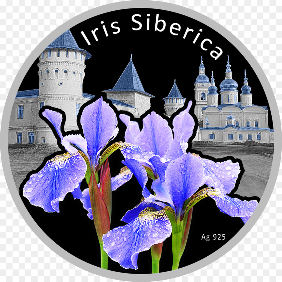 Iris，Pièce De Monnaie PNG