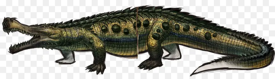 Arche De Survie évolué，Sarcosuchus PNG