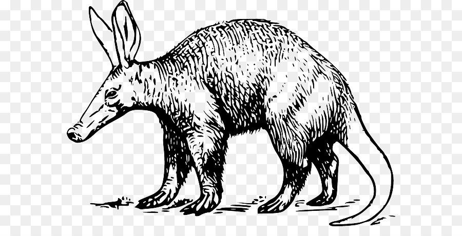 Aardvark，Fourmilier PNG