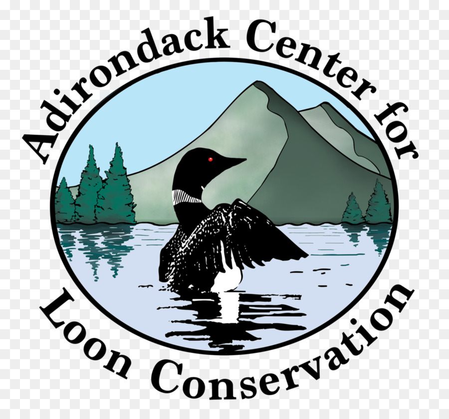 Camps D Adirondack，Adirondack Centre De Loon Conservation PNG