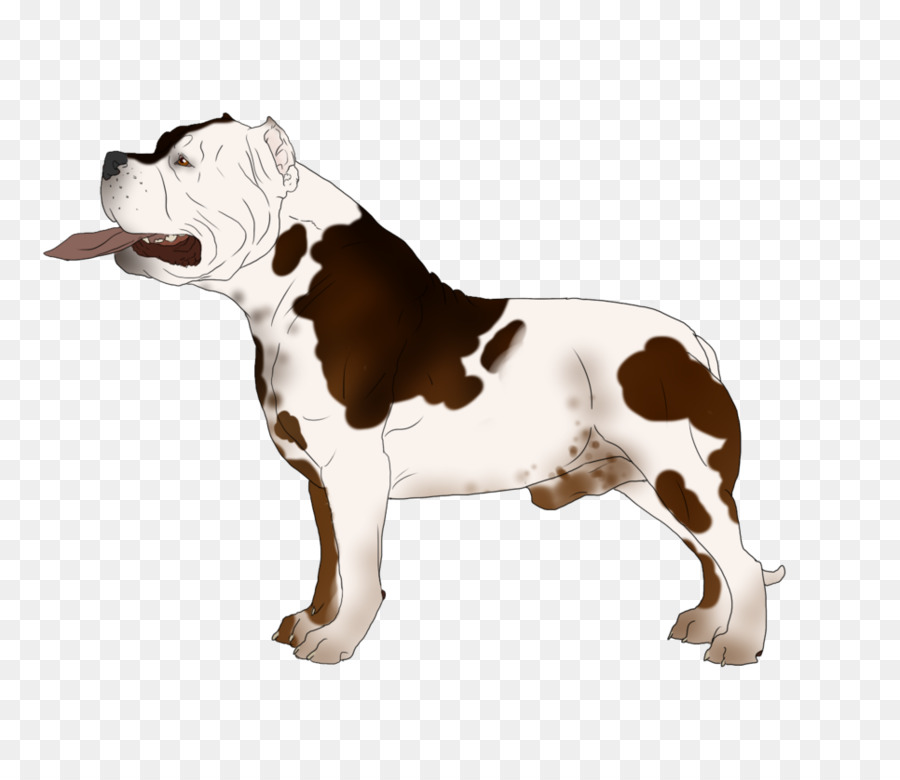 Bouledogue，Animal De Compagnie PNG