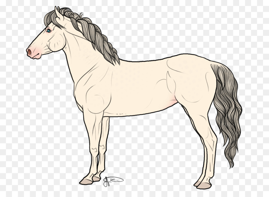 Cheval Blanc，Crinière PNG