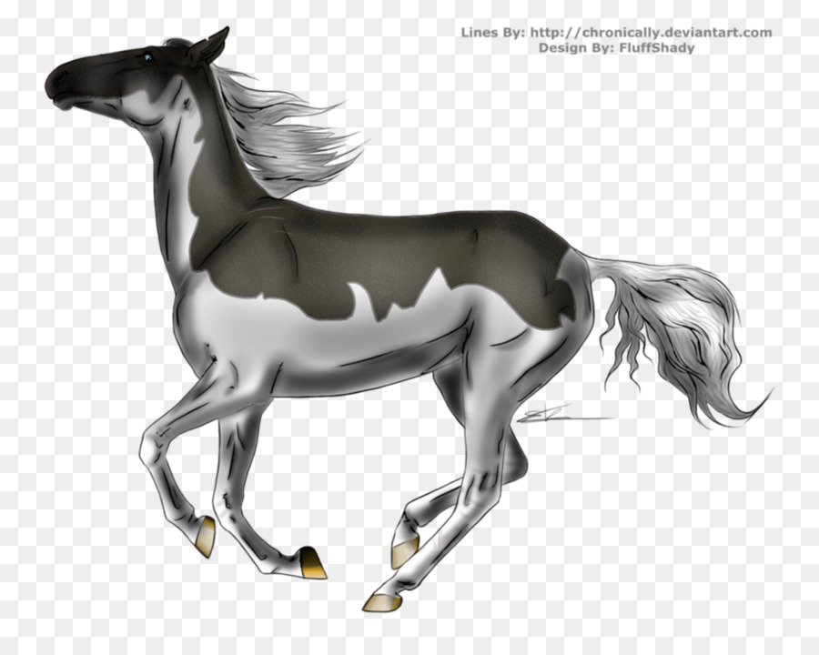 Poney，Poulain PNG