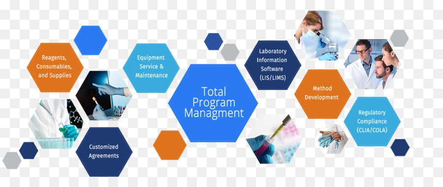 Infographie Hexagonale，Gestion De Programme PNG