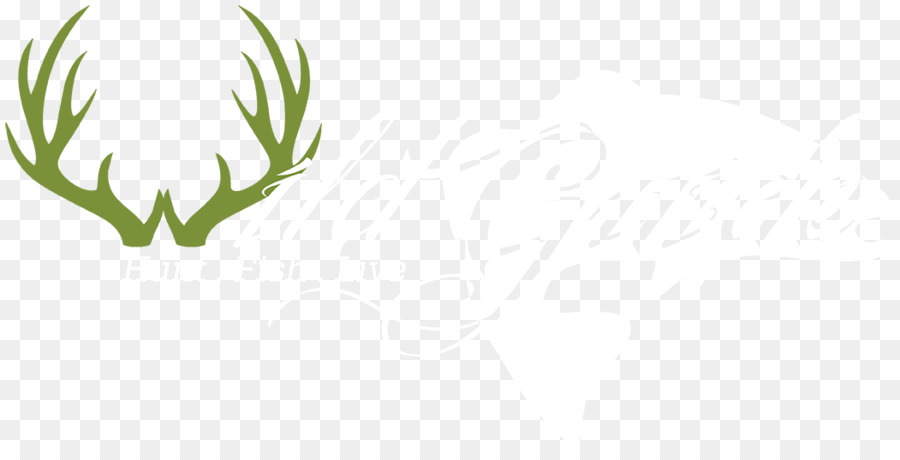 Bois，Cerf PNG