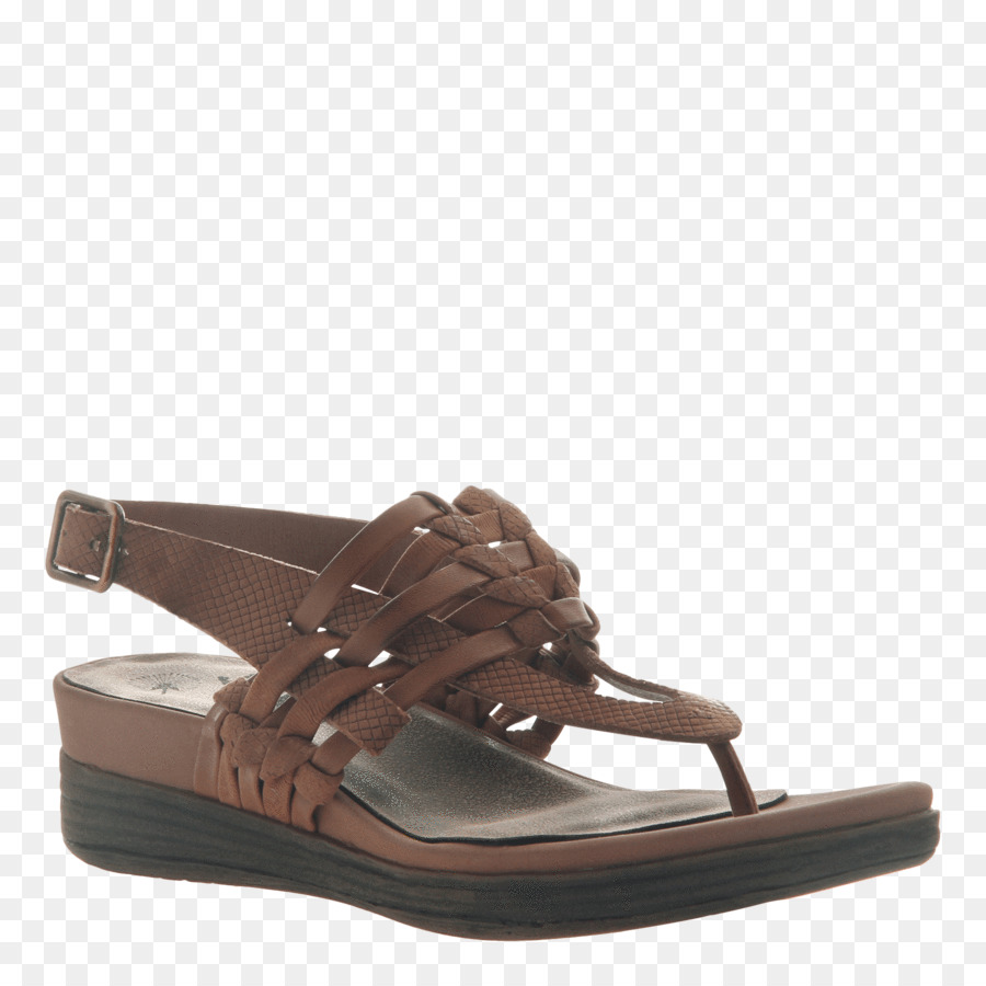 Sandale Marron Et Argentée，Chaussure PNG