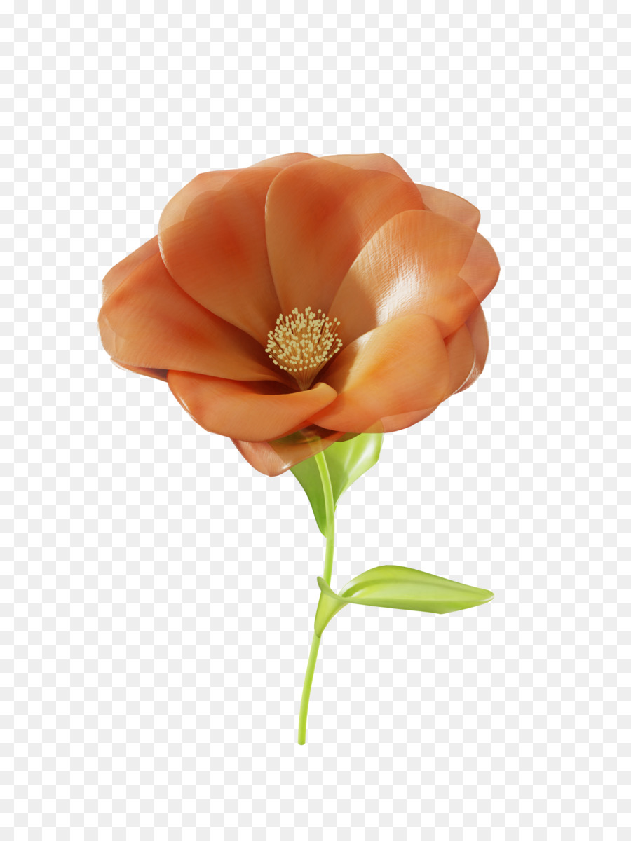 Fleur，Tige PNG