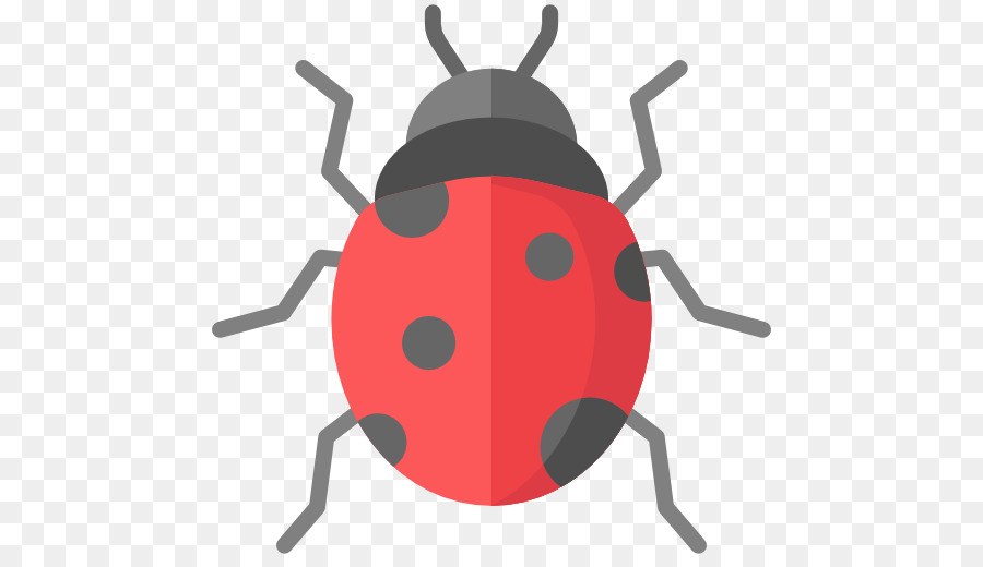 Coccinelle，Bogue PNG