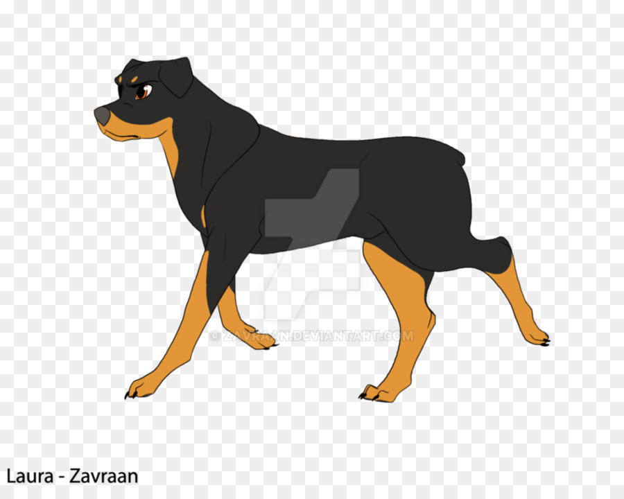 Chiot，Rottweiler PNG