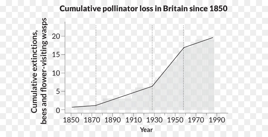 Abeille，Diminution Des Populations De Pollinisateurs PNG