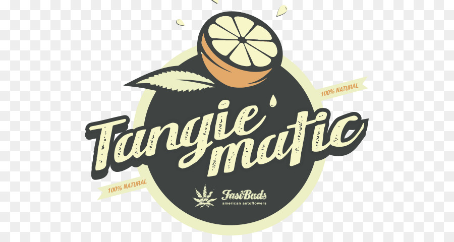 Logo Tangie'matic，Fastbuds PNG