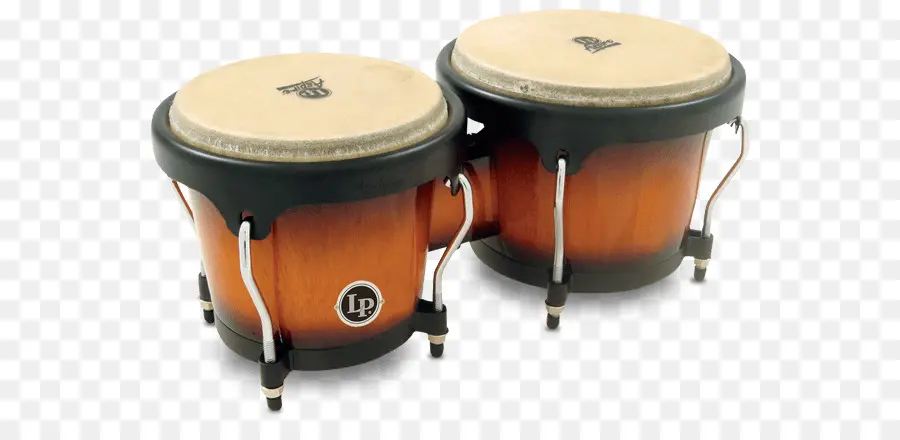Bongos Latin Percussion，Percussion Latine PNG